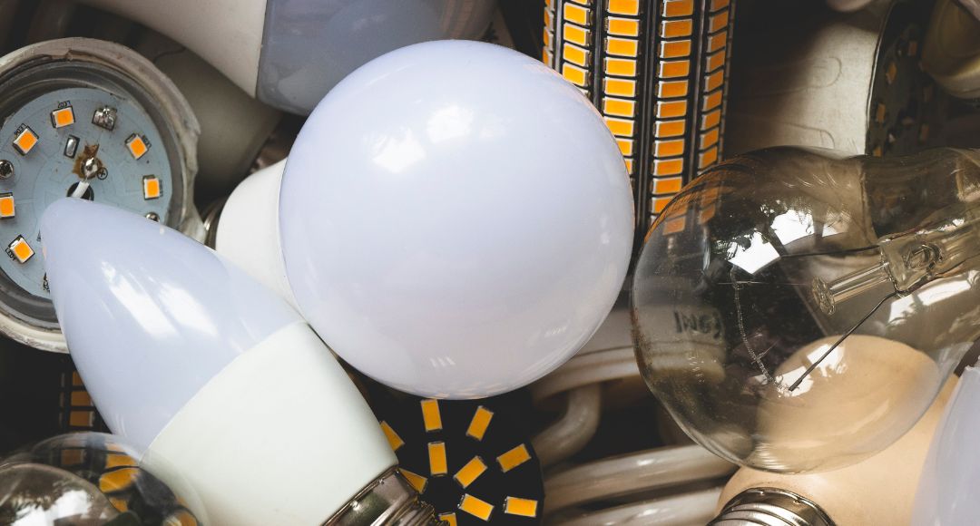 BULBS