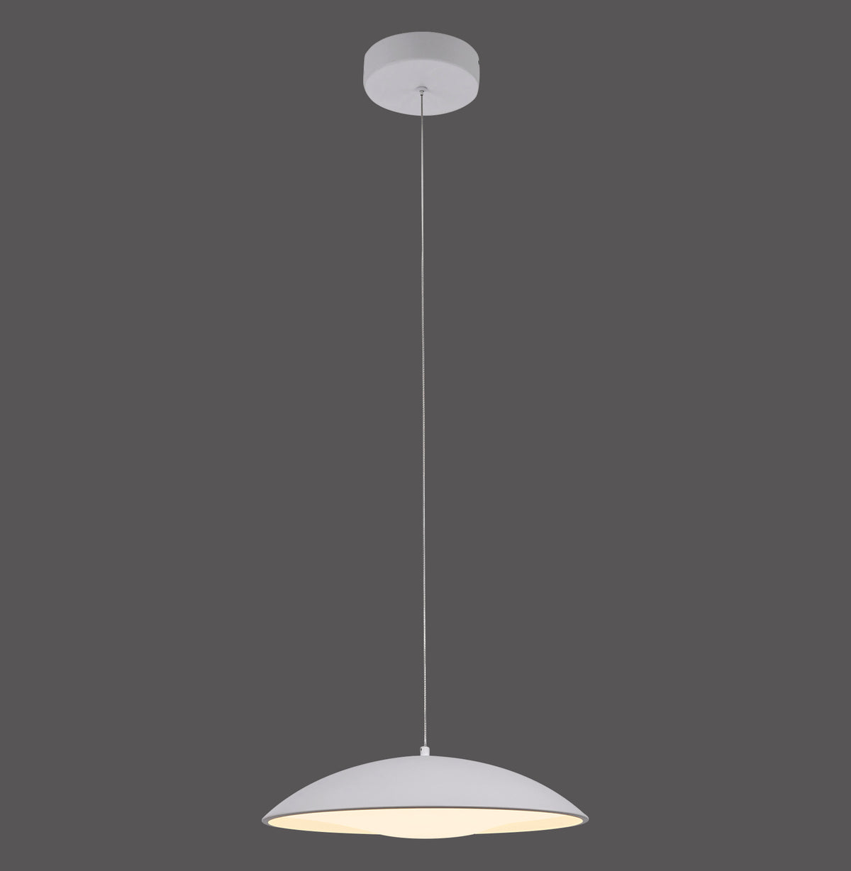 Modern Decorative Light by Zuma Line