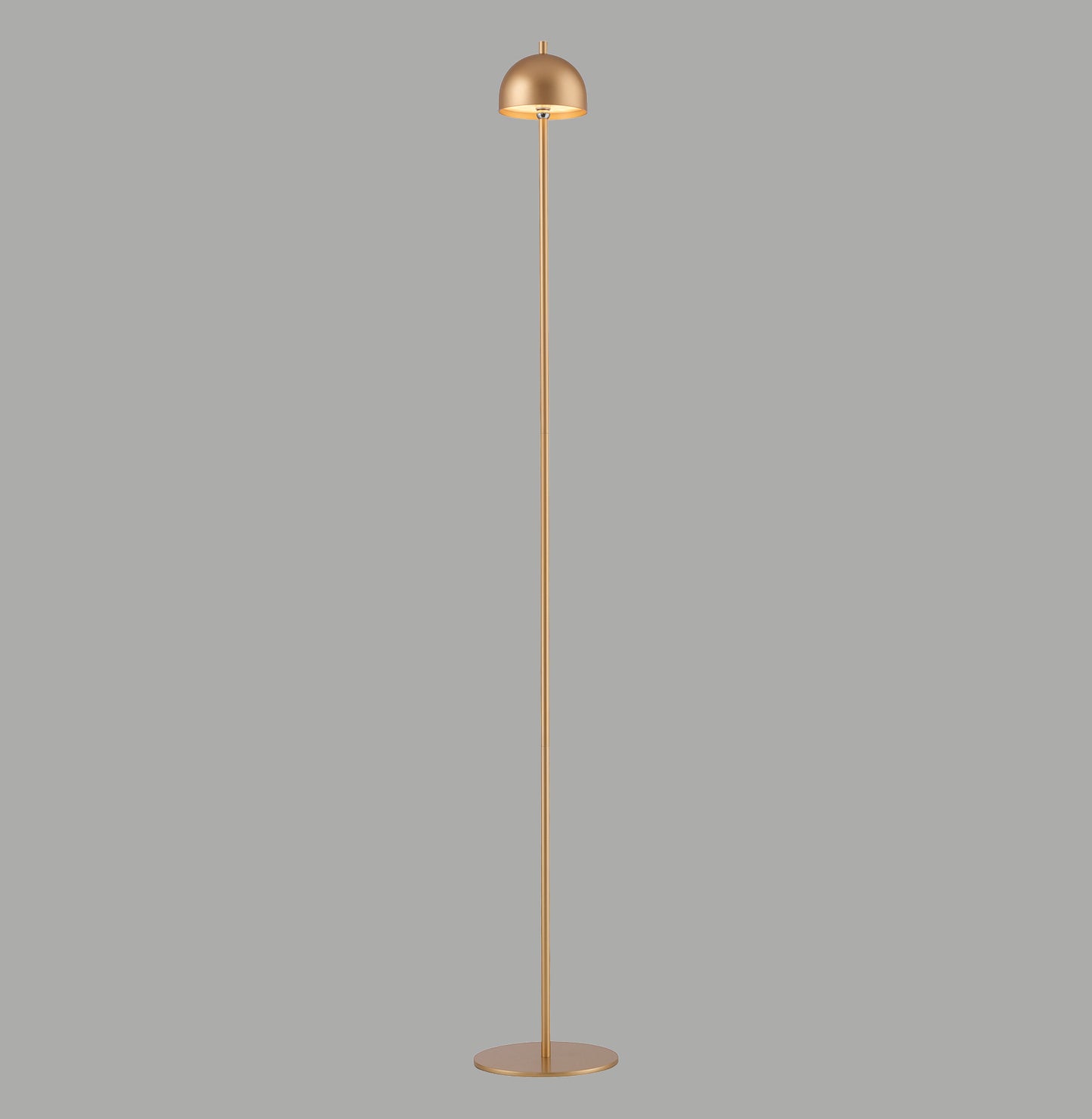 Modern Decorative Light by Zuma Line