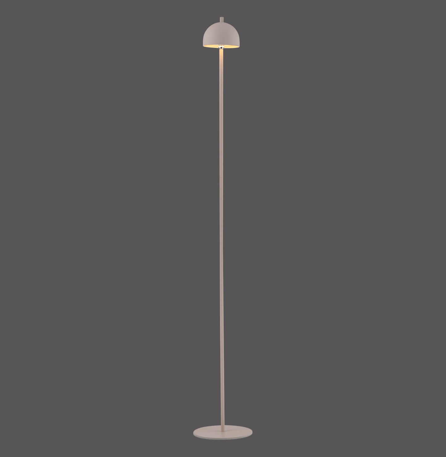 Modern Decorative Light by Zuma Line