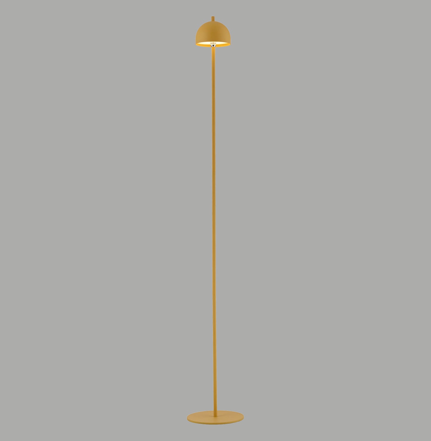 Modern Decorative Light by Zuma Line