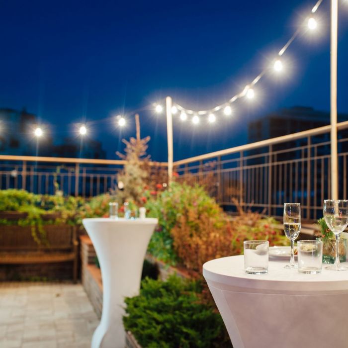 LED STRING LIGHT 10M WITH EURO PLUG + 20 x0.5W WW 960lm LAMPS