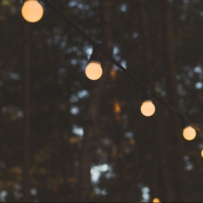 LED STRING LIGHT 10M WITH EURO PLUG + 20 x0.5W WW 960lm LAMPS
