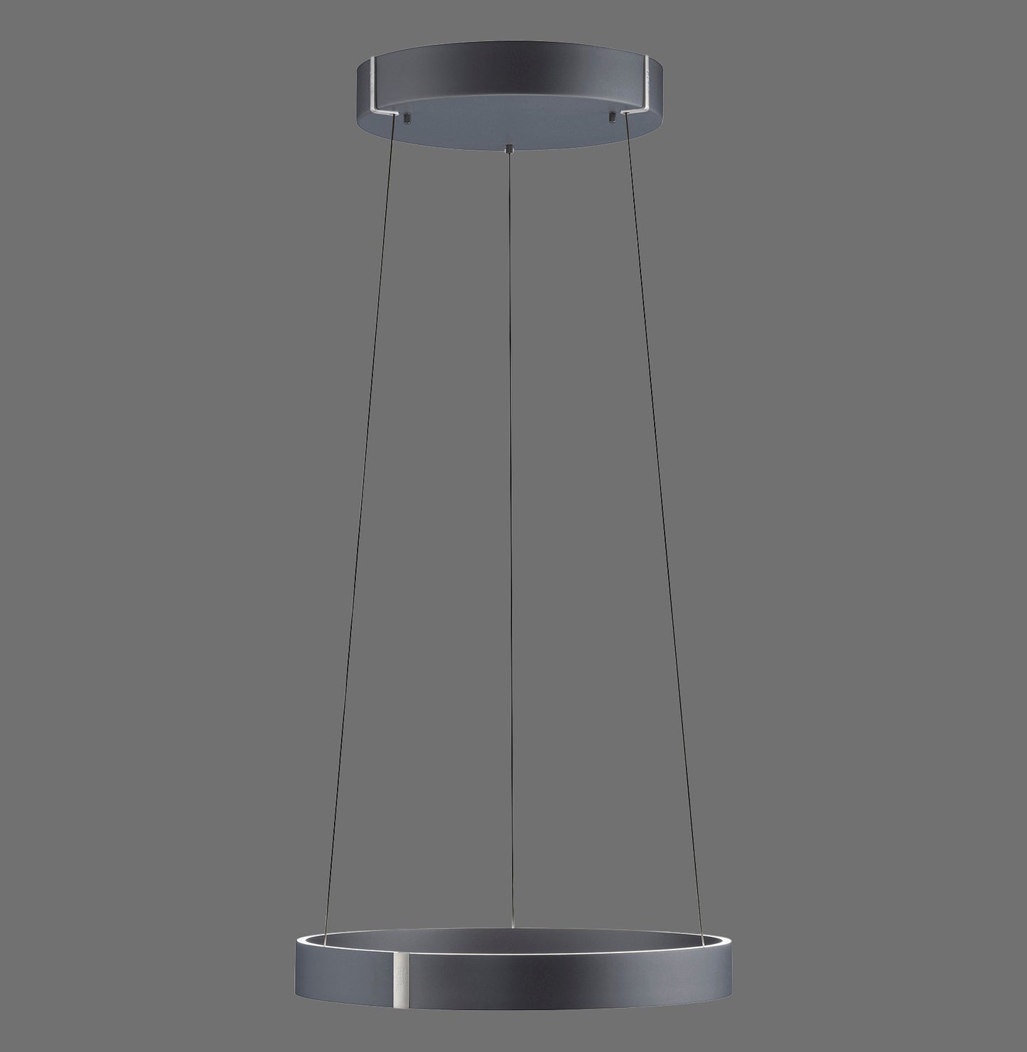 Modern Decorative Light by Zuma Line