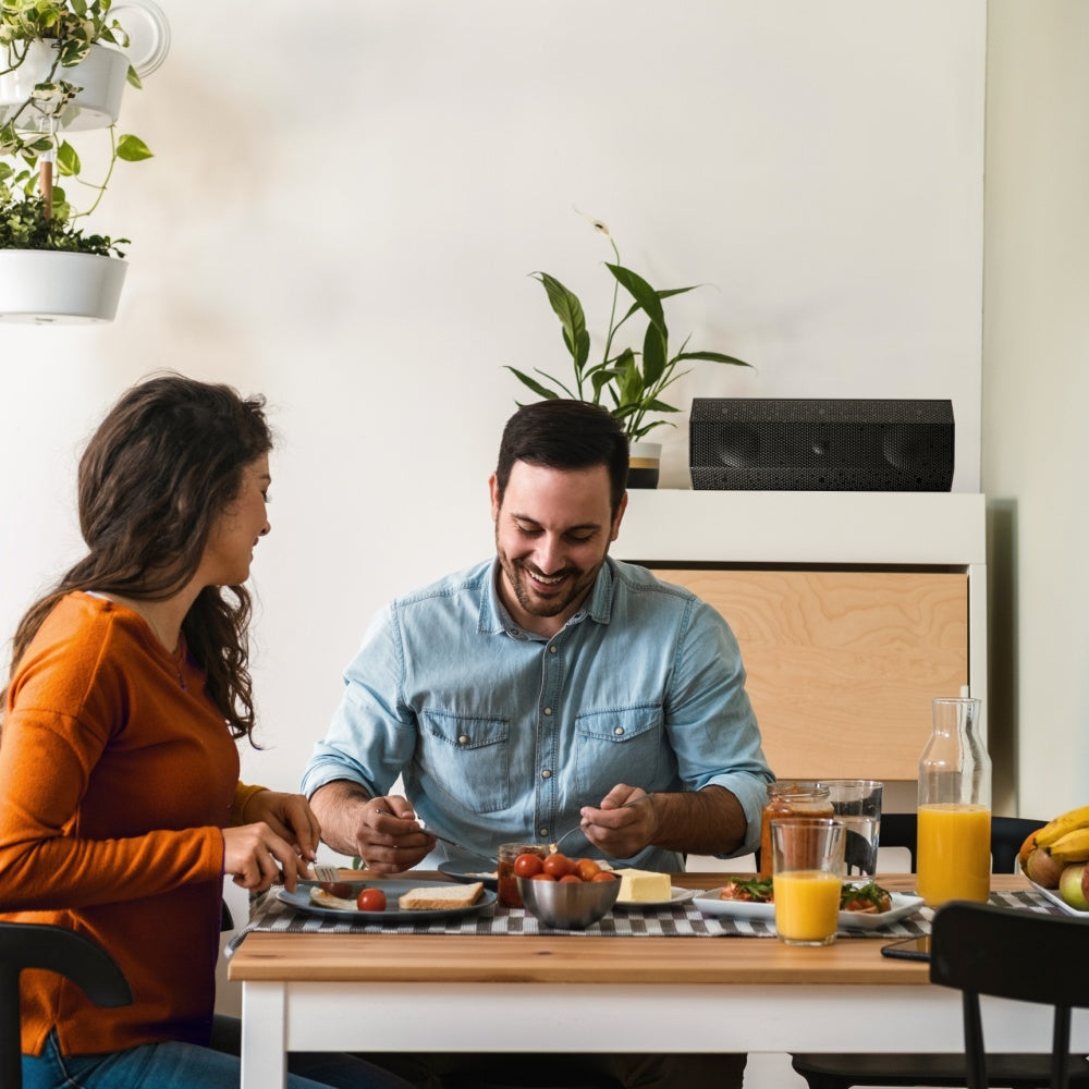 Indoor & Outdoor WIFI Speaker (SINGLE) Black / IO1 Wi‑Fi Ηχείο (Μονό) Μαύρο