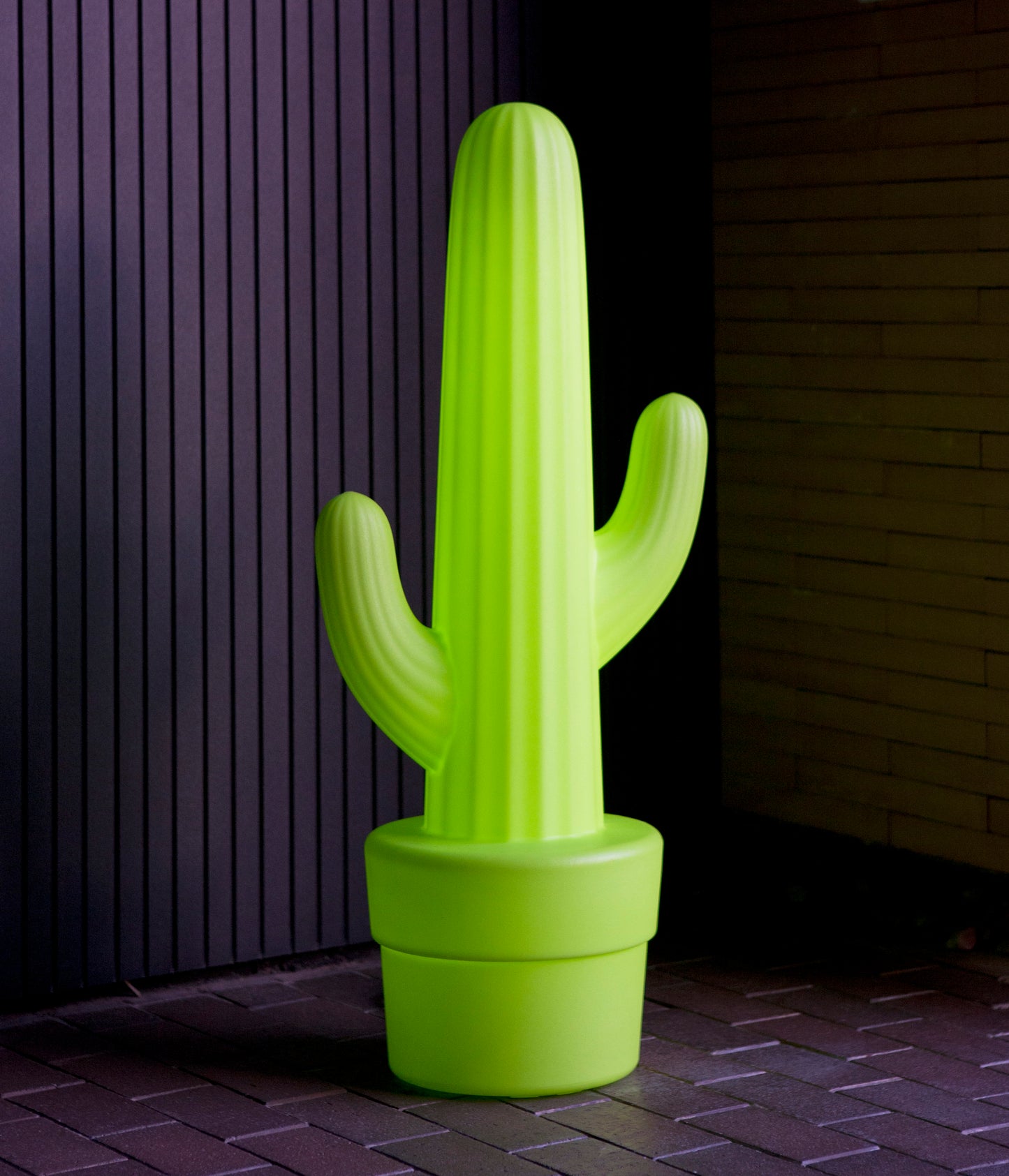 Modern Decorative Light by Zuma Line