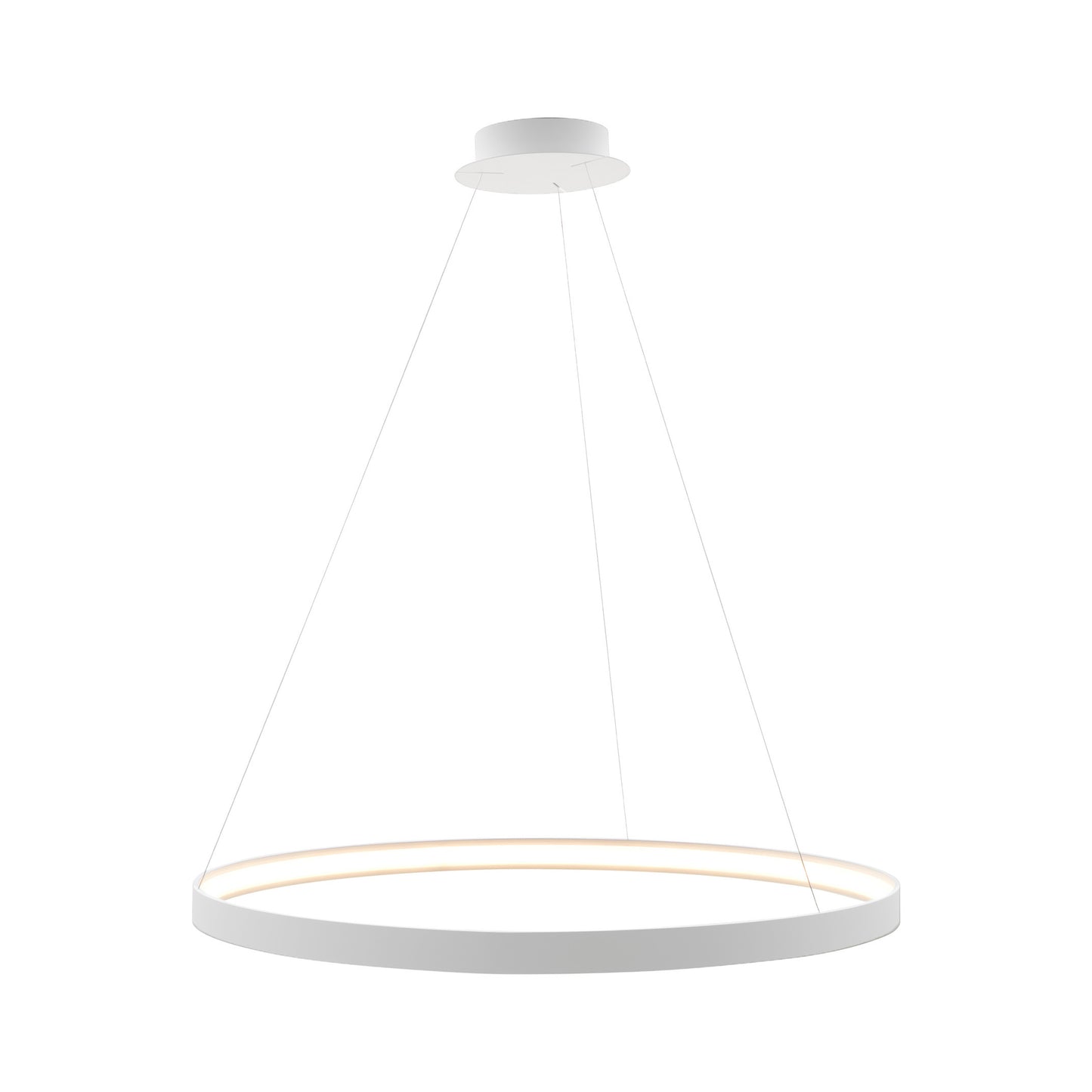 Modern Decorative Light by Zuma Line