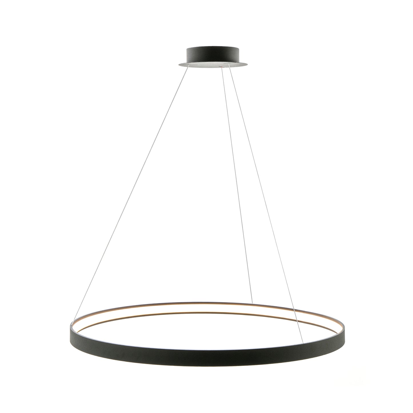 Modern Decorative Light by Zuma Line