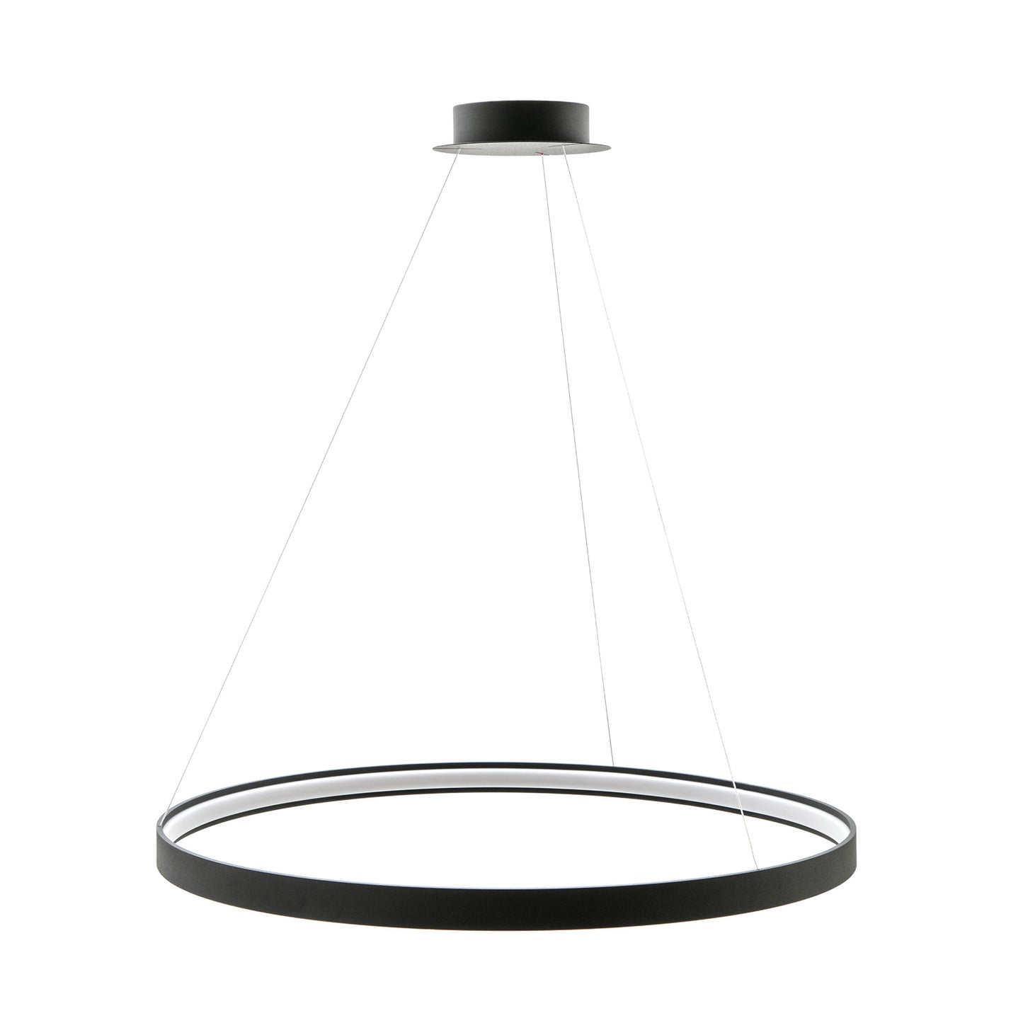 Modern Decorative Light by Zuma Line
