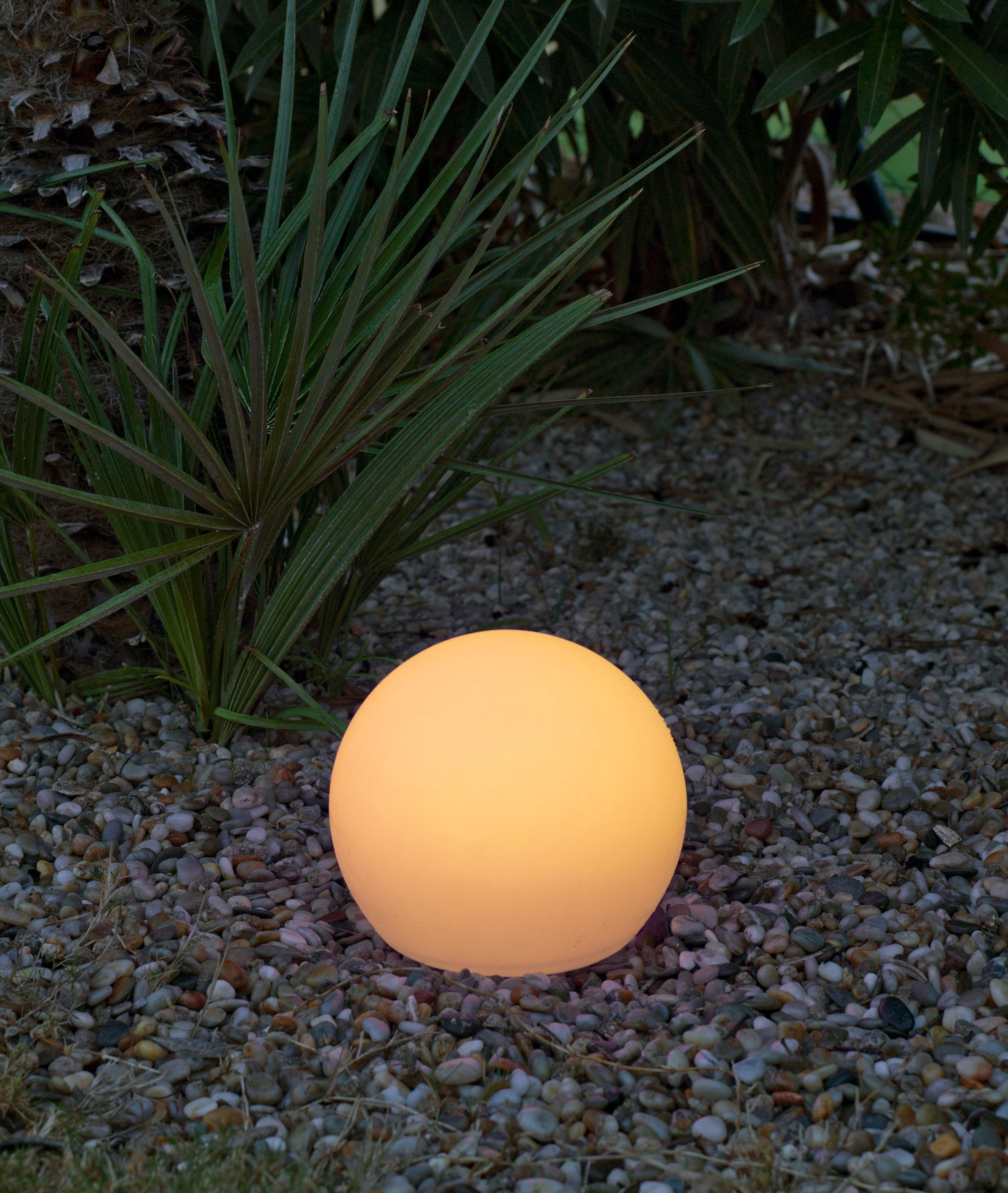 Modern Decorative Light by Zuma Line