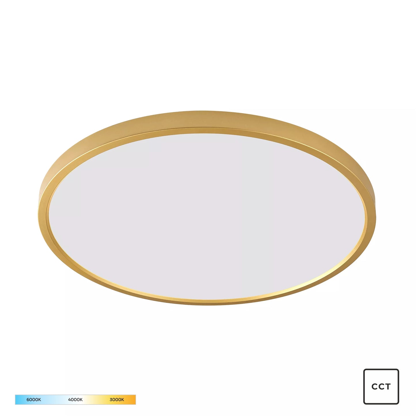 Gold Decorative Light by Zuma Line
