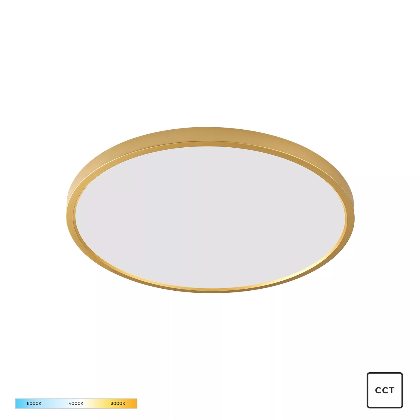 Gold Decorative Light by Zuma Line