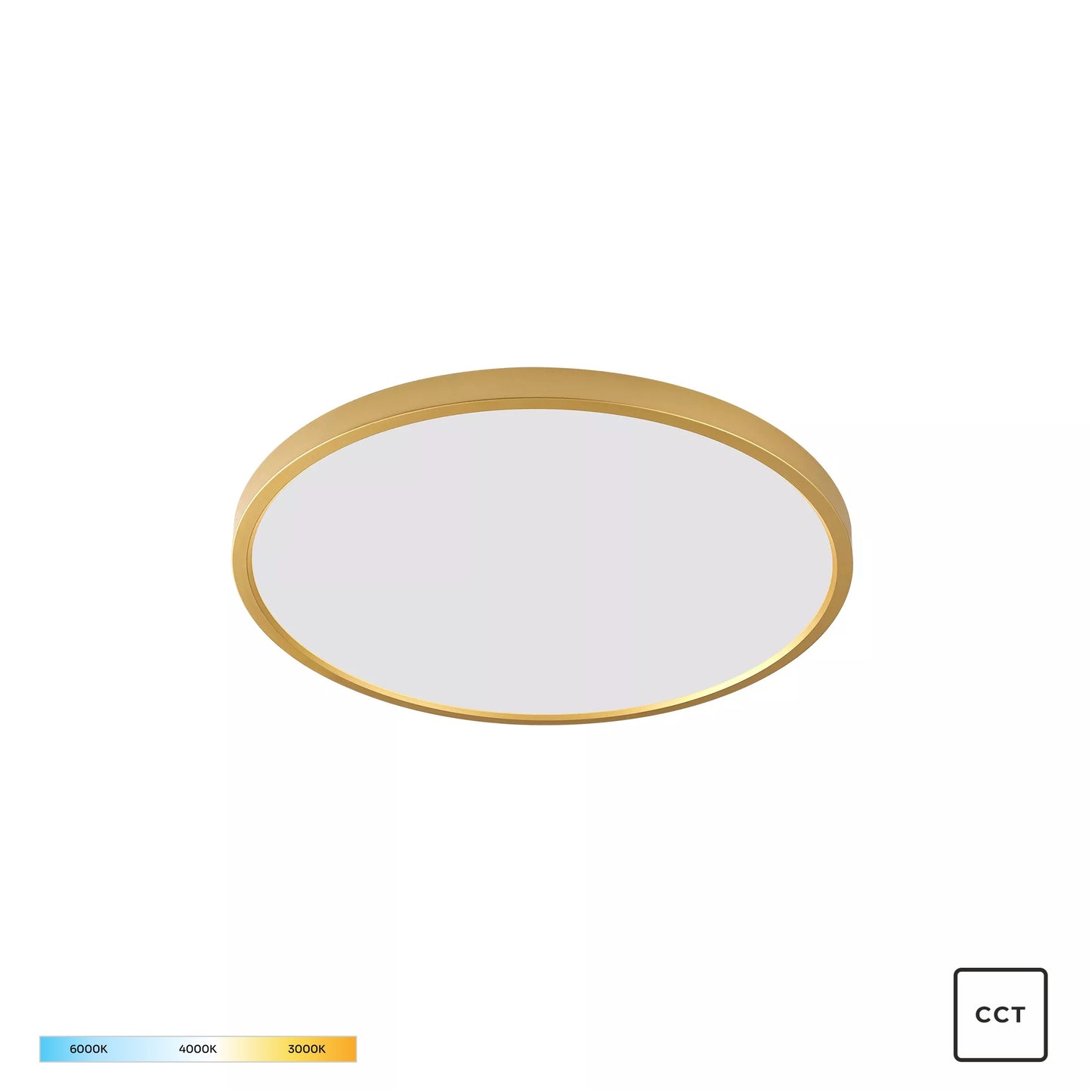Gold Decorative Light by Zuma Line