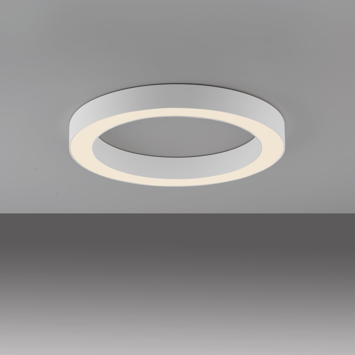 Modern Decorative Light by Zuma Line