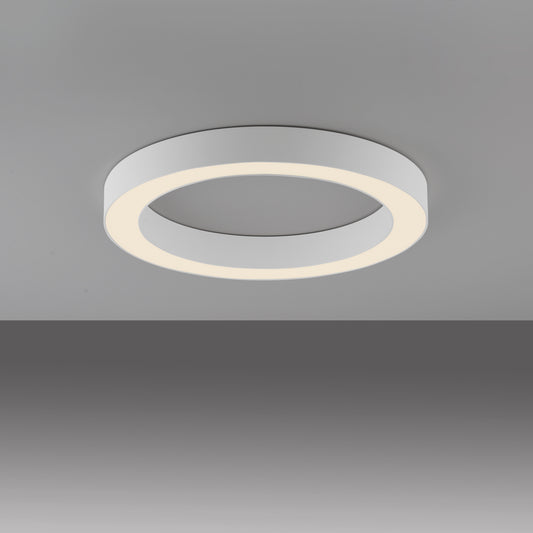 Modern Decorative Light by Zuma Line