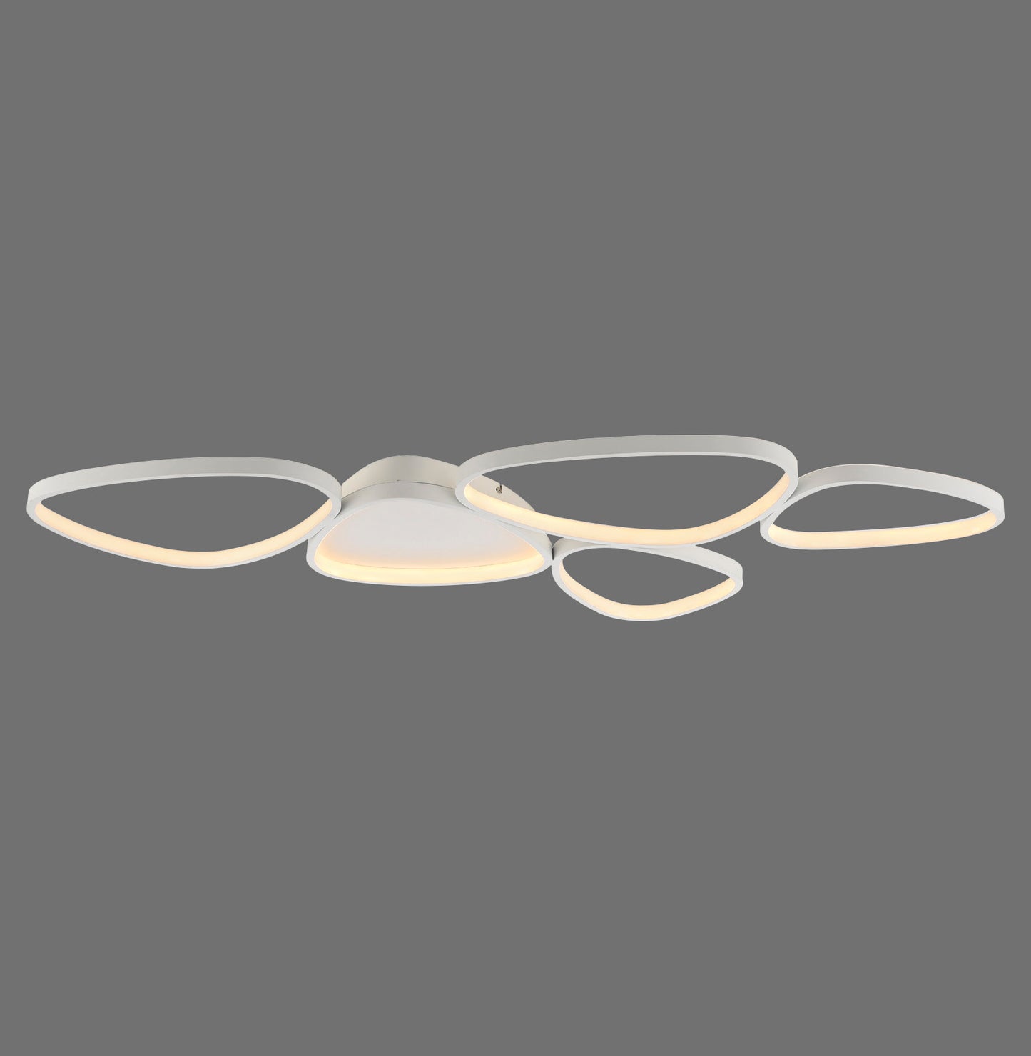 Modern Decorative Light by Zuma Line