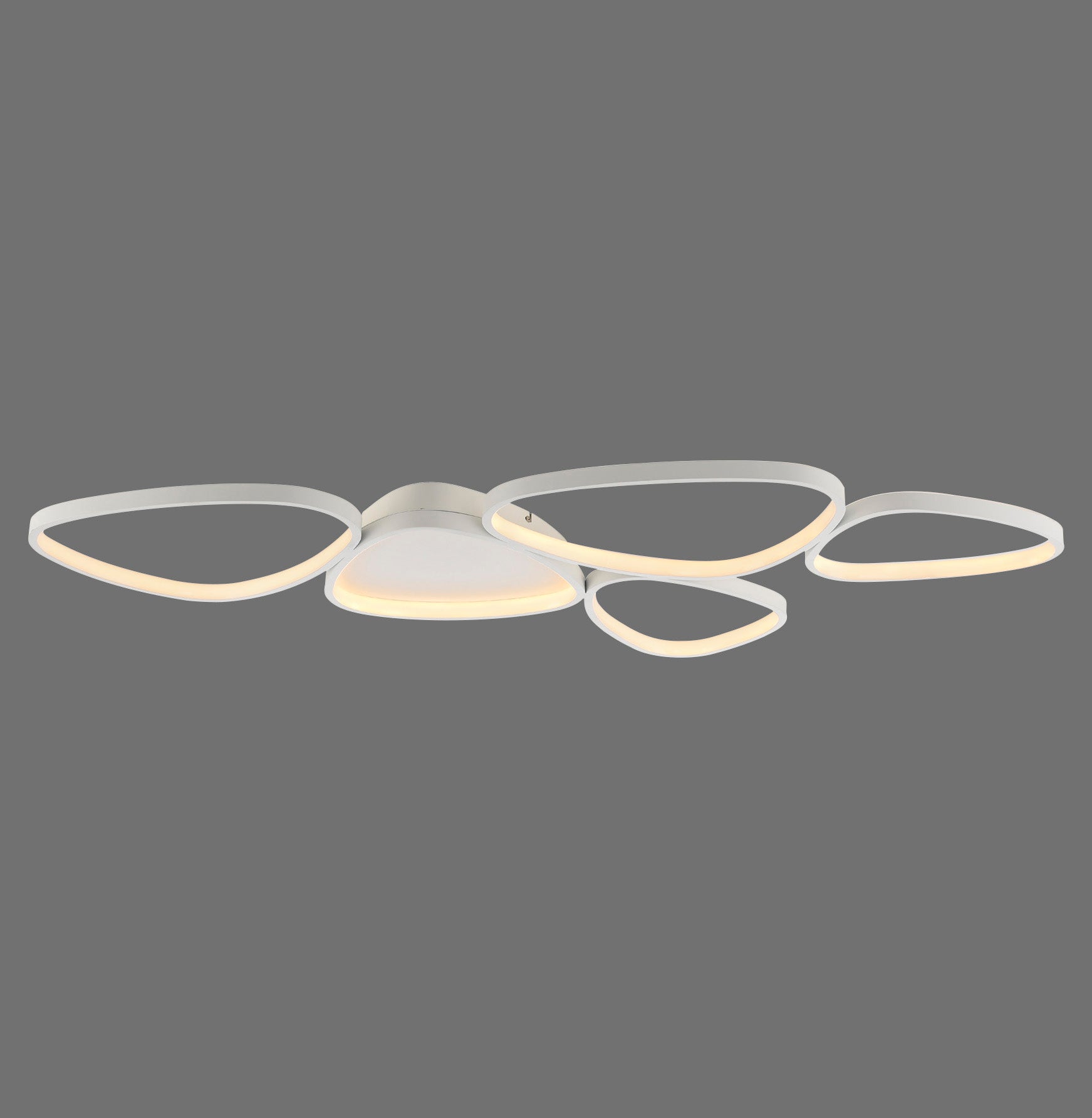 Modern Decorative Light by Zuma Line