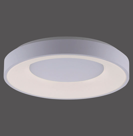 Modern Decorative Light by Zuma Line