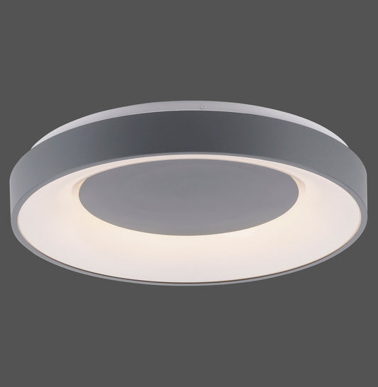 Modern Decorative Light by Zuma Line