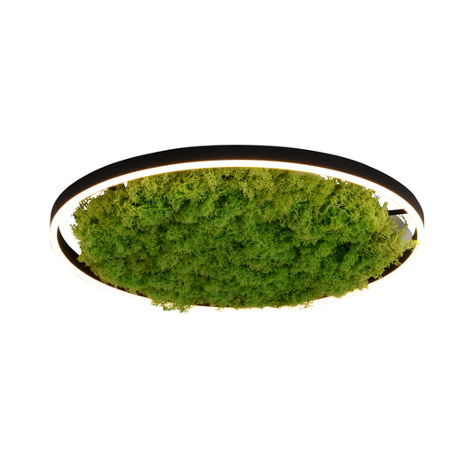 Modern Decorative Light by Zuma Line