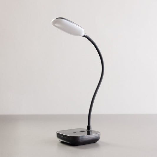 Black Decorative Light by Zuma Line