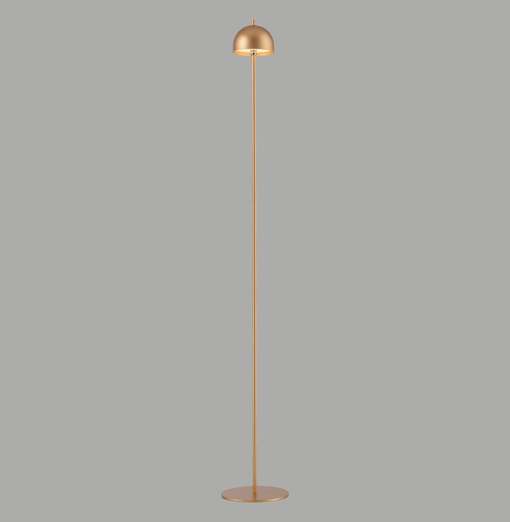 Modern Decorative Light by Zuma Line