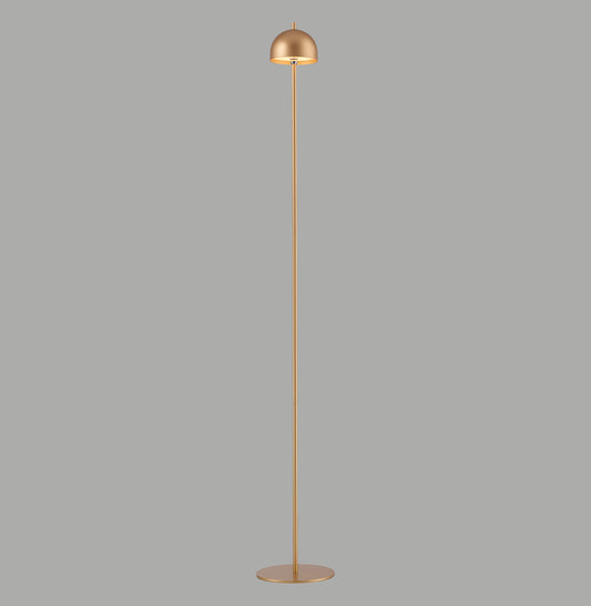 Modern Decorative Light by Zuma Line