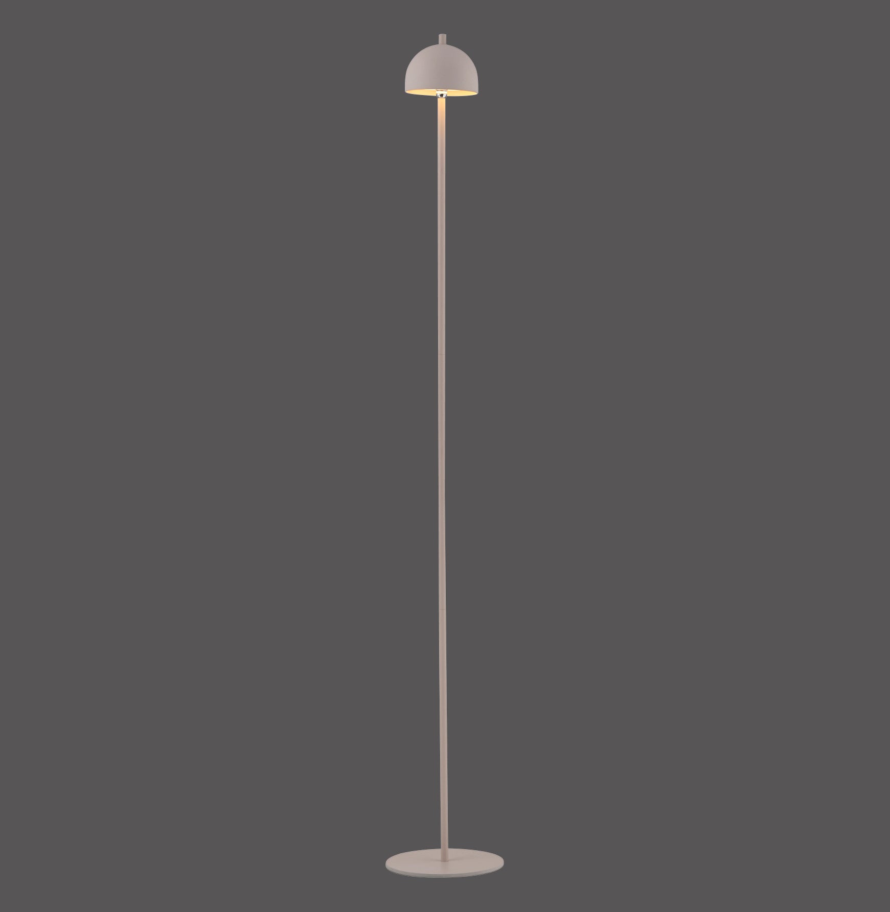 Modern Decorative Light by Zuma Line