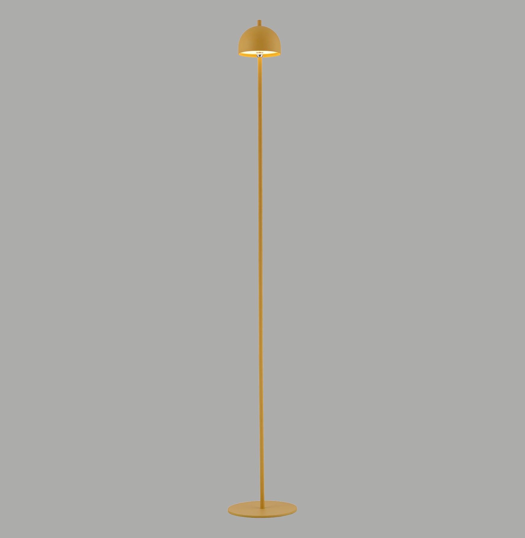 Modern Decorative Light by Zuma Line