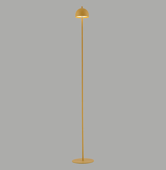 Modern Decorative Light by Zuma Line