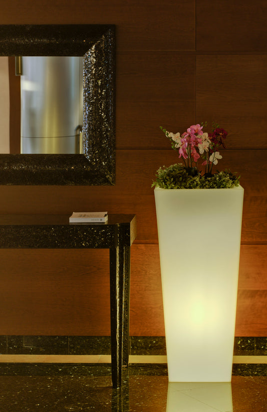 Modern Decorative Light by Zuma Line