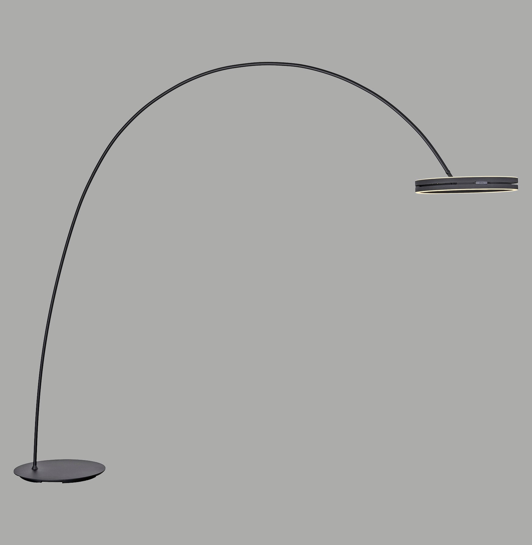 Modern Decorative Light by Zuma Line