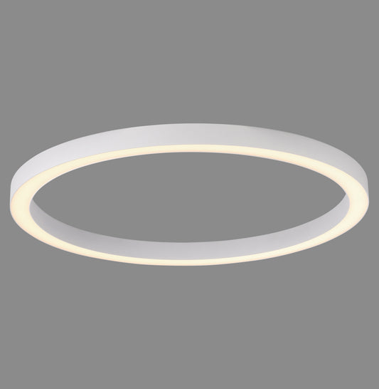 Modern Decorative Light by Zuma Line