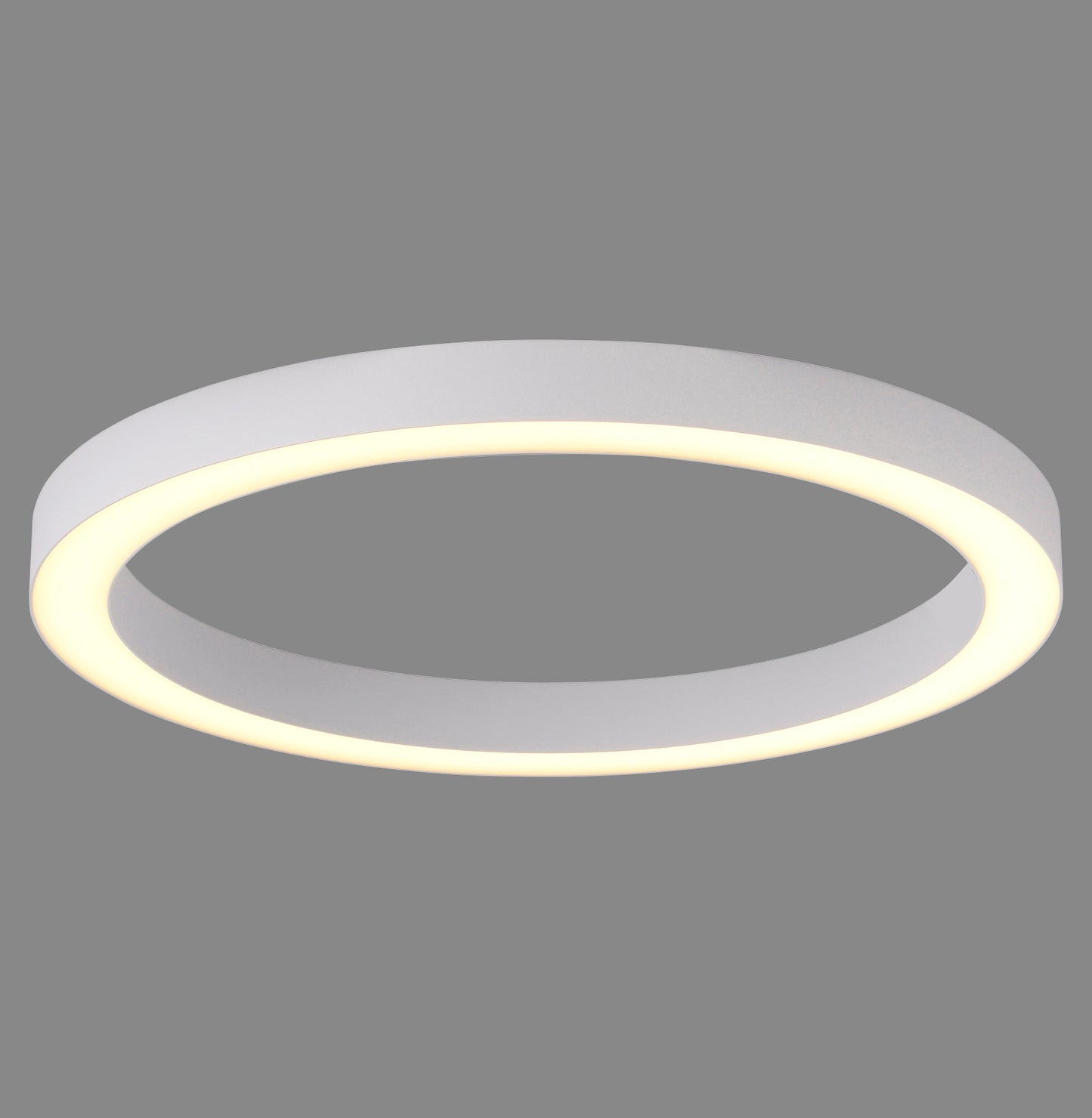 Modern Decorative Light by Zuma Line