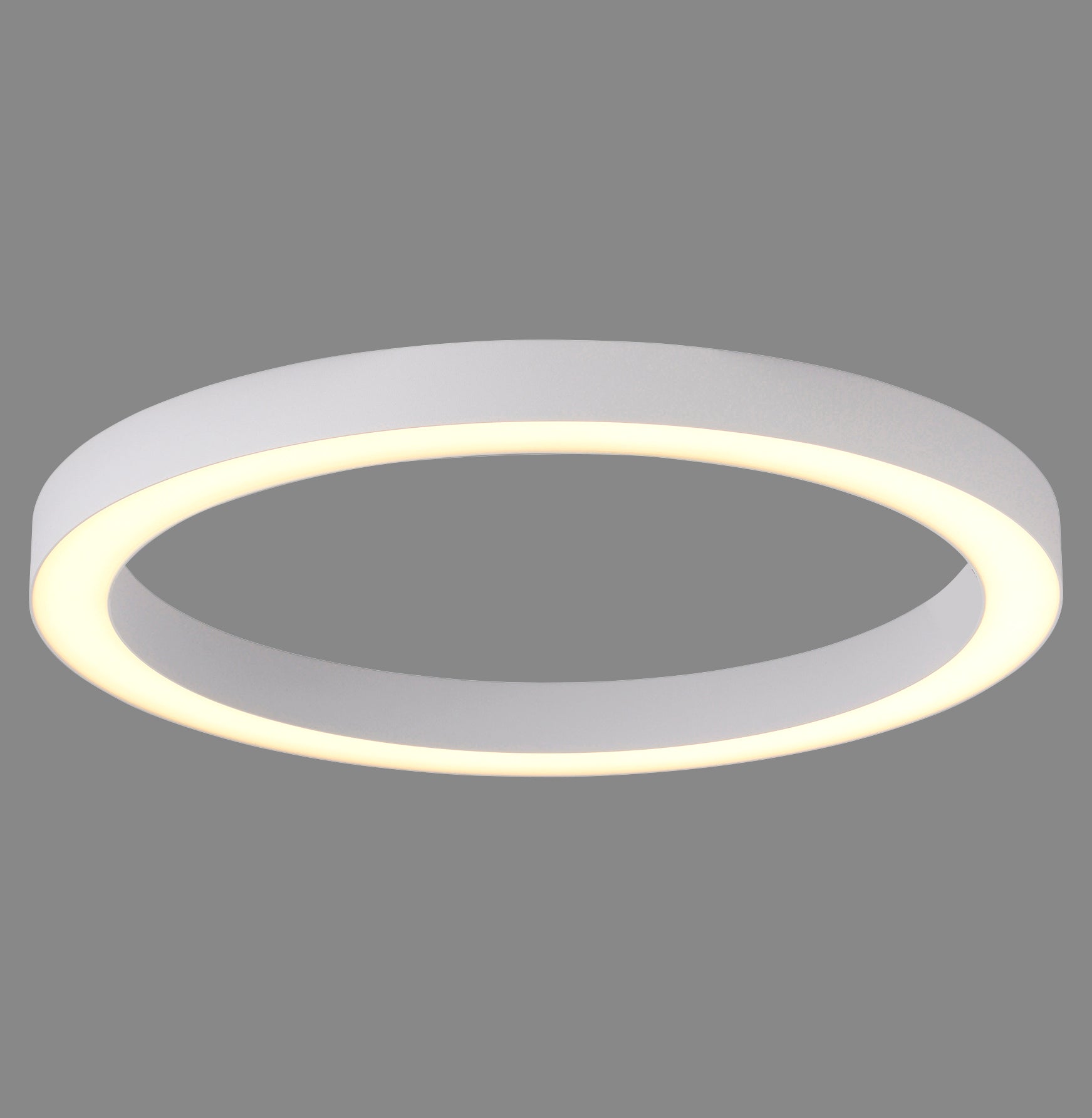 Modern Decorative Light by Zuma Line