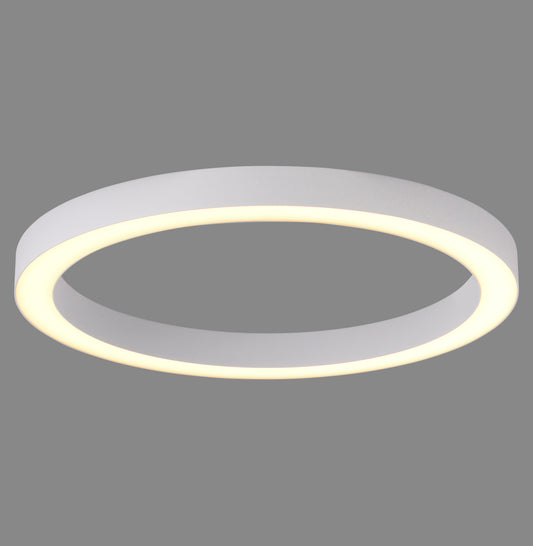 Modern Decorative Light by Zuma Line