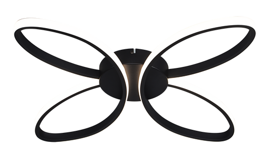 Black Decorative Light by Zuma Line