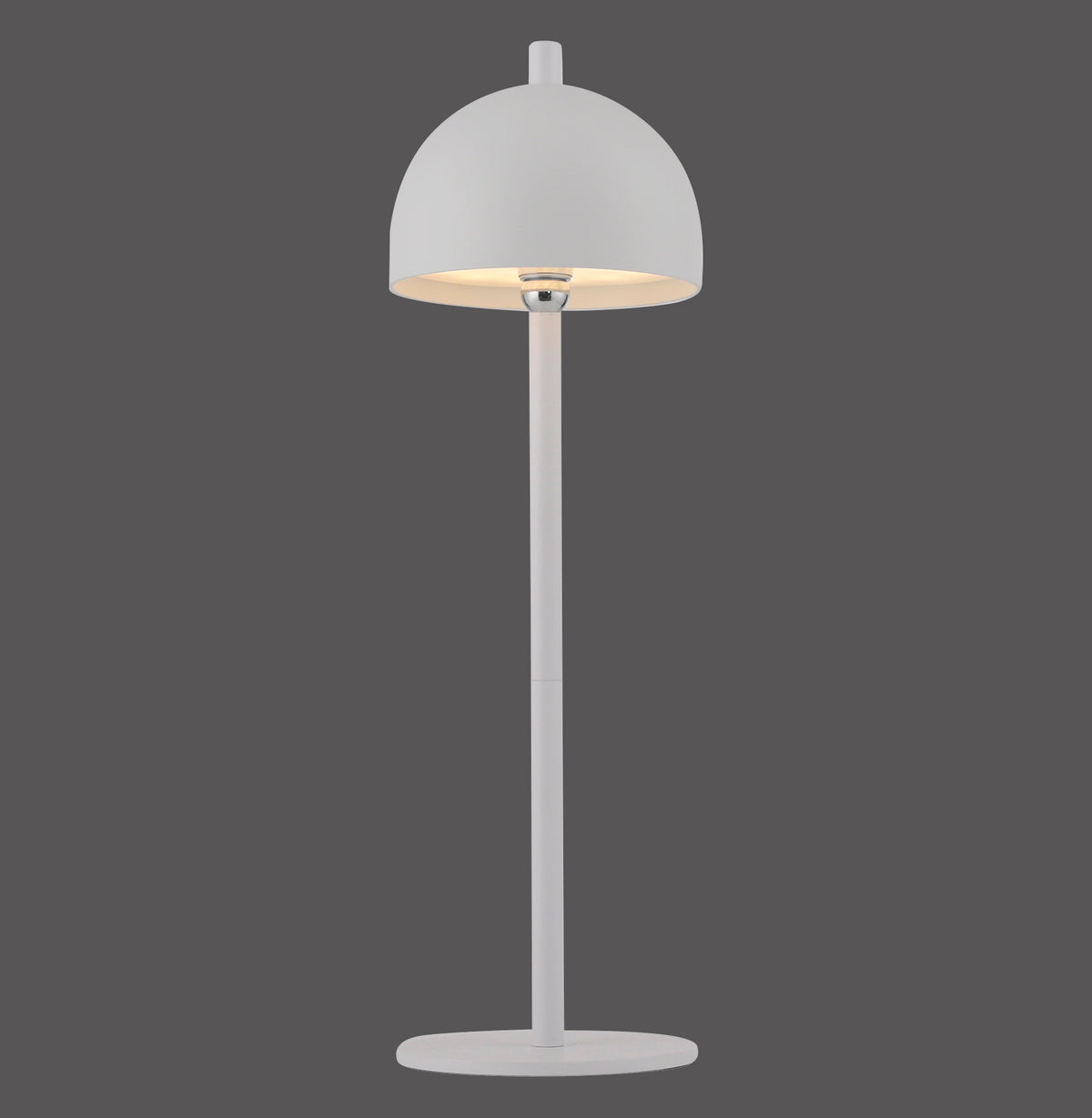 Modern Decorative Light by Zuma Line