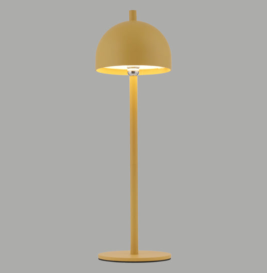 Modern Decorative Light by Zuma Line