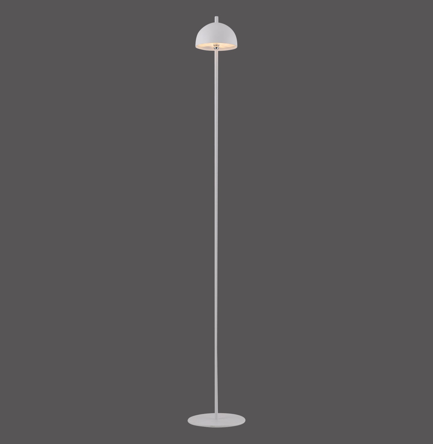 Modern Decorative Light by Zuma Line