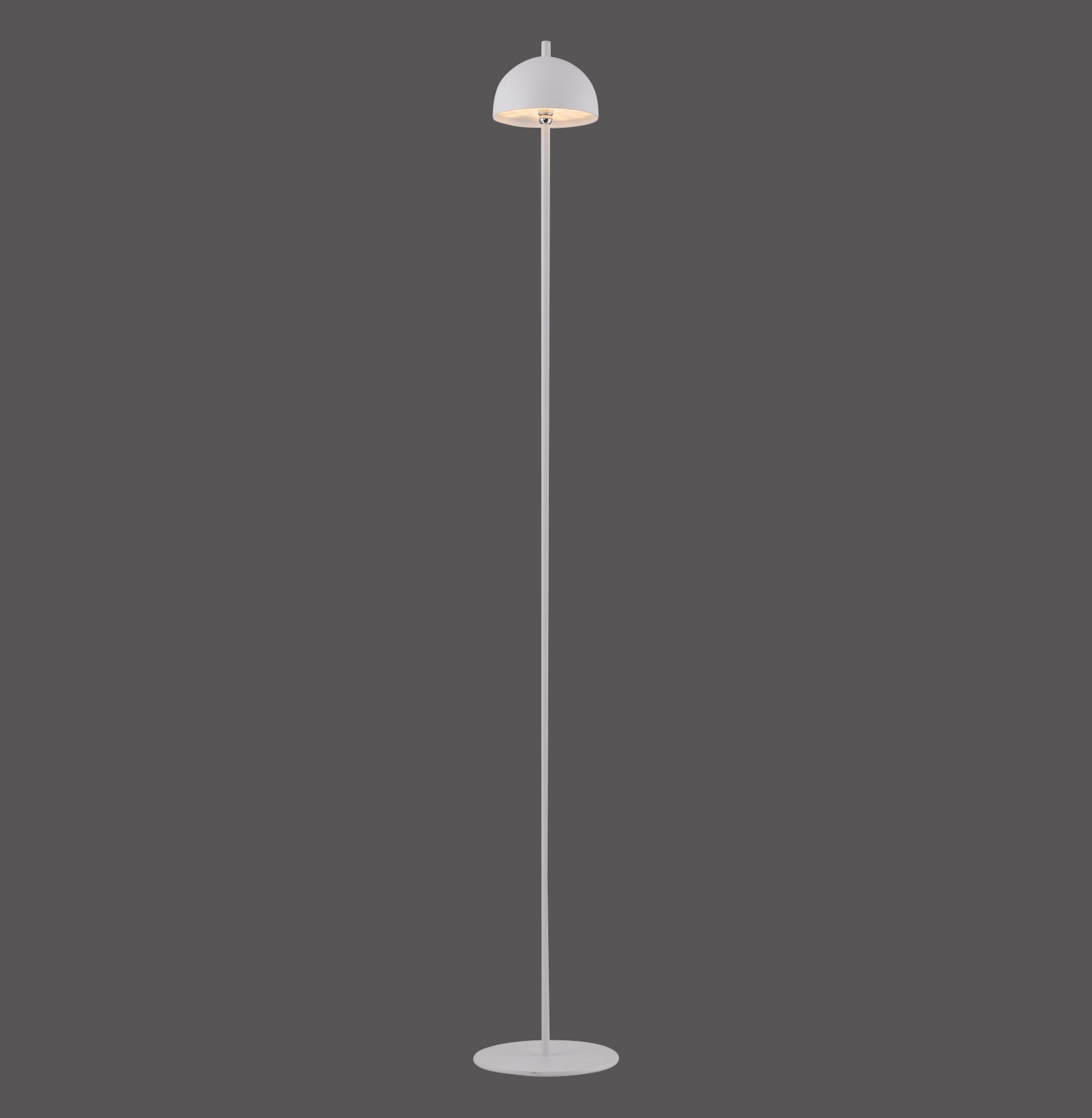 Modern Decorative Light by Zuma Line