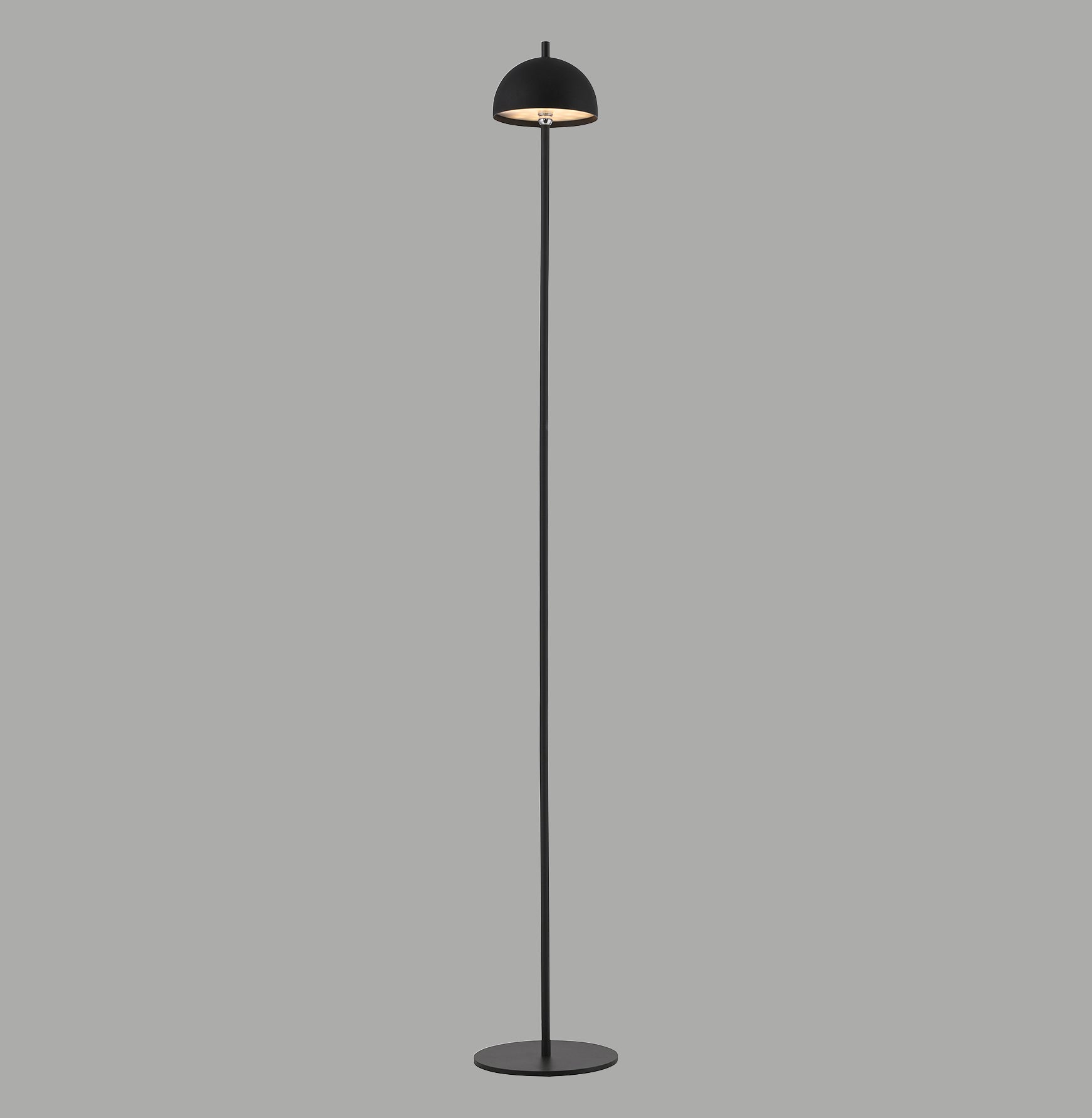 Modern Decorative Light by Zuma Line
