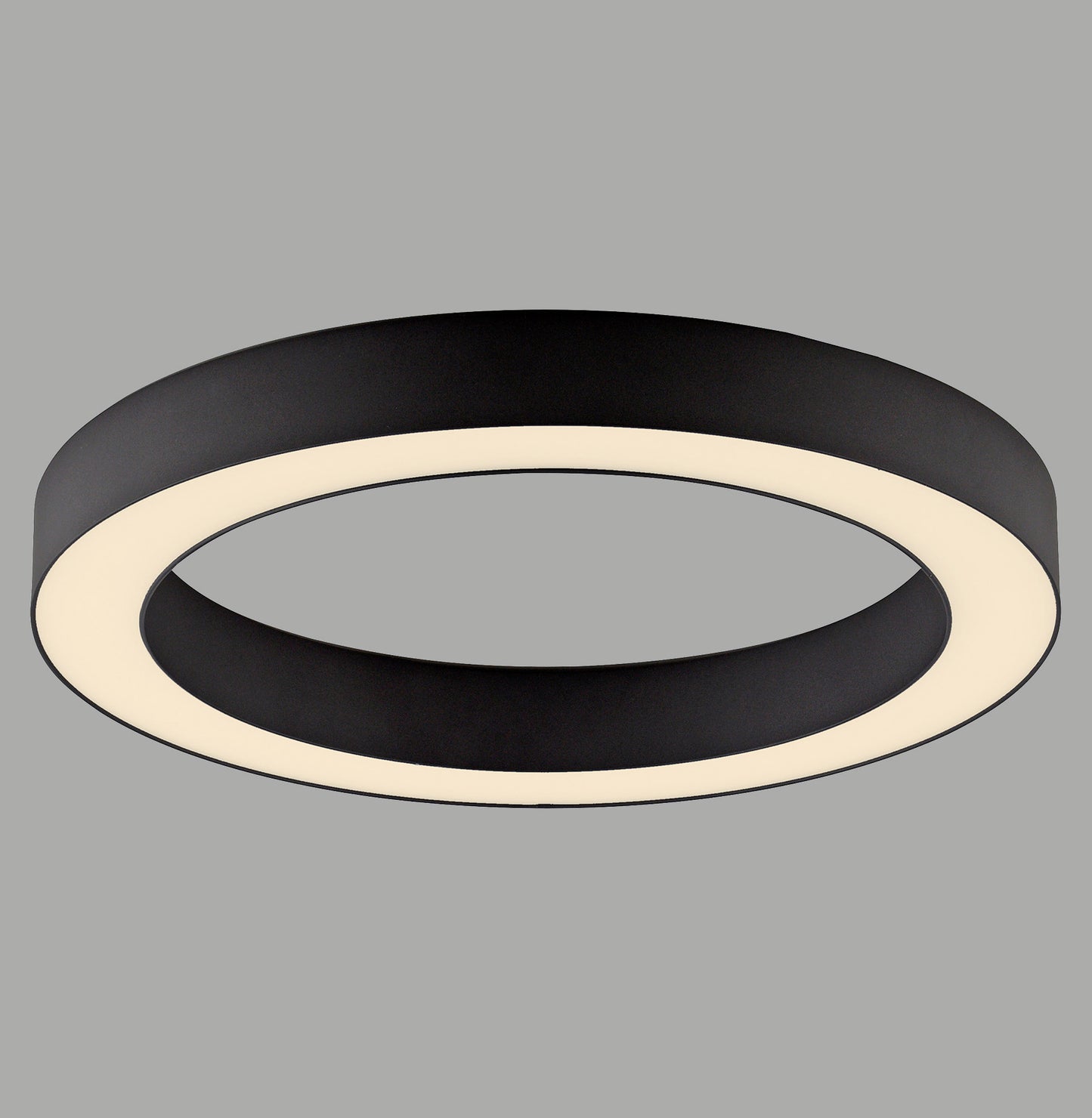 Modern Decorative Light by Zuma Line