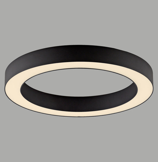 Modern Decorative Light by Zuma Line