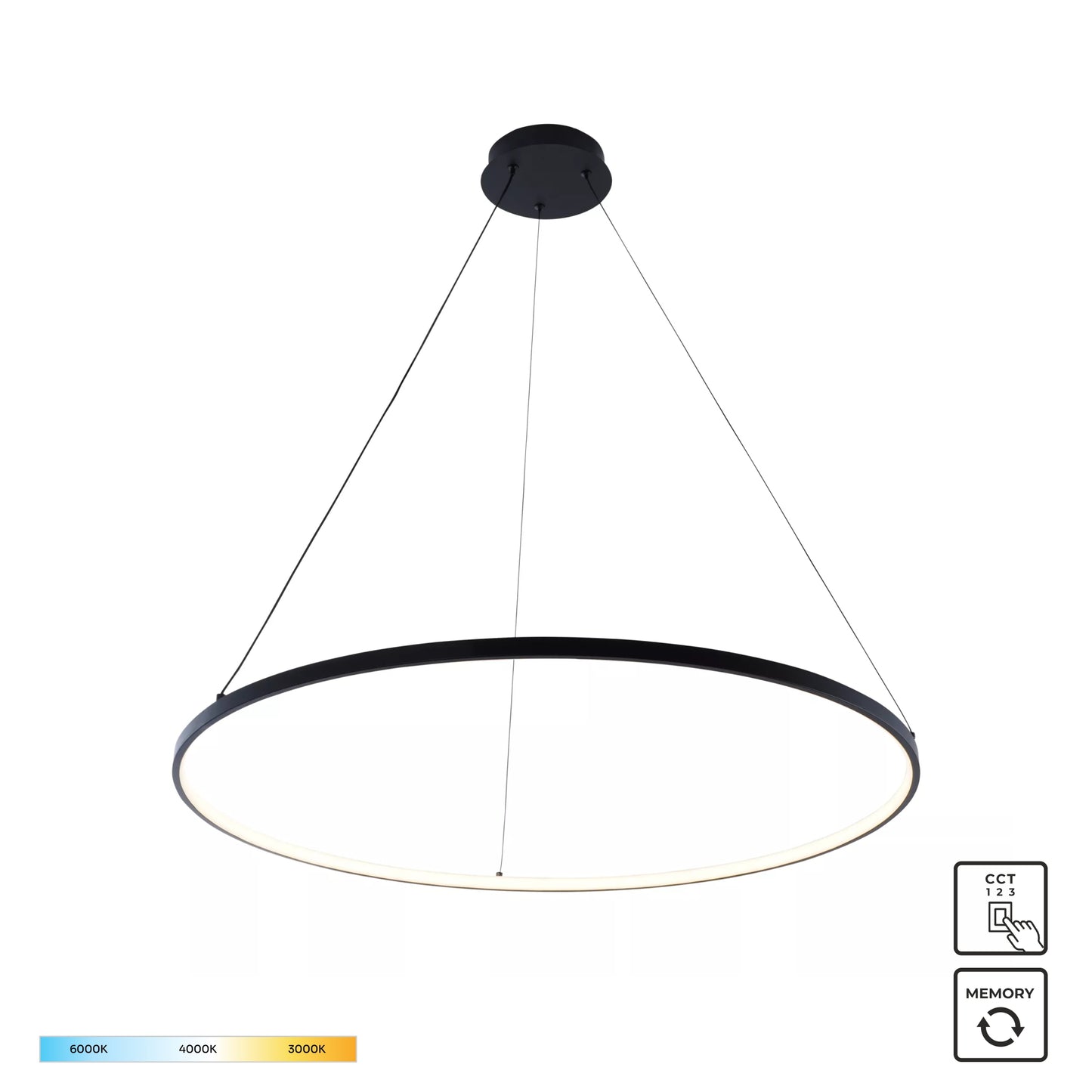 Black Decorative Light by Zuma Line