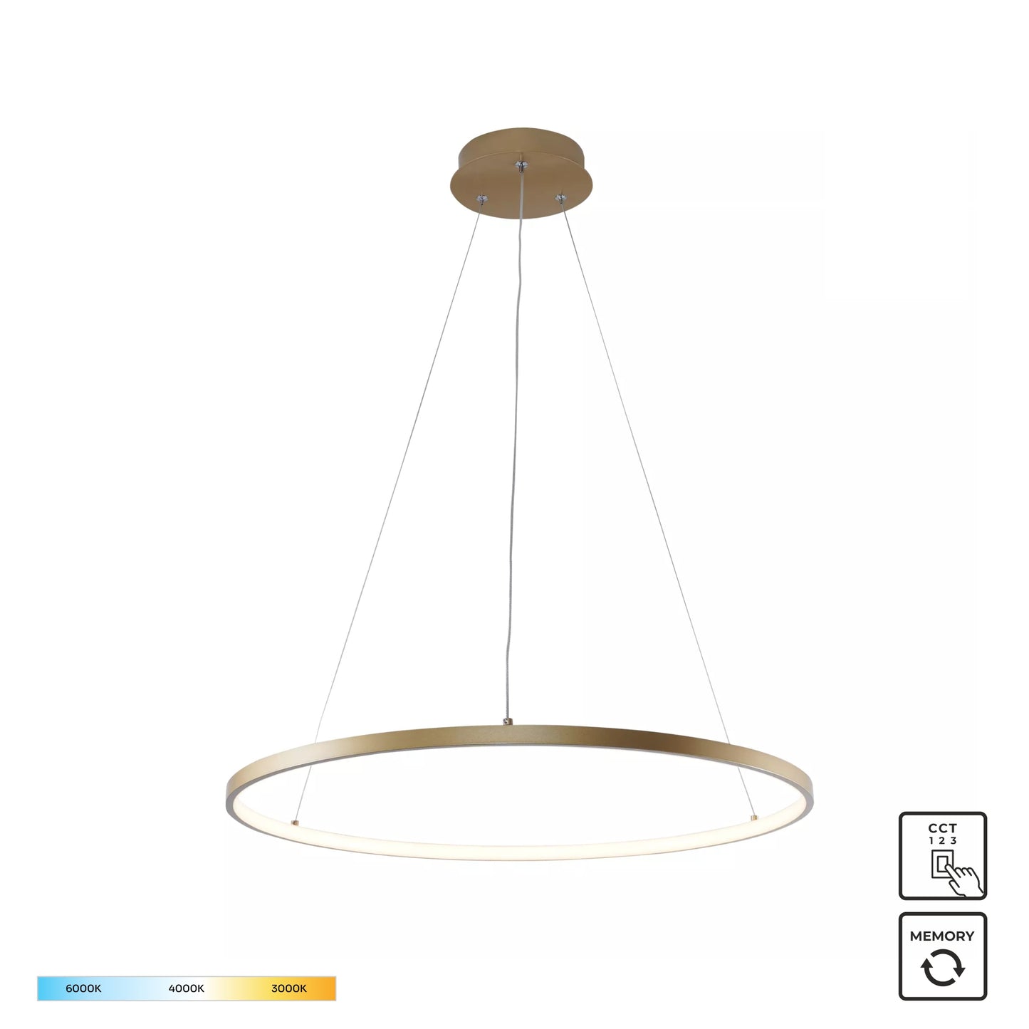 Gold Decorative Light by Zuma Line