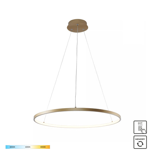 Gold Decorative Light by Zuma Line