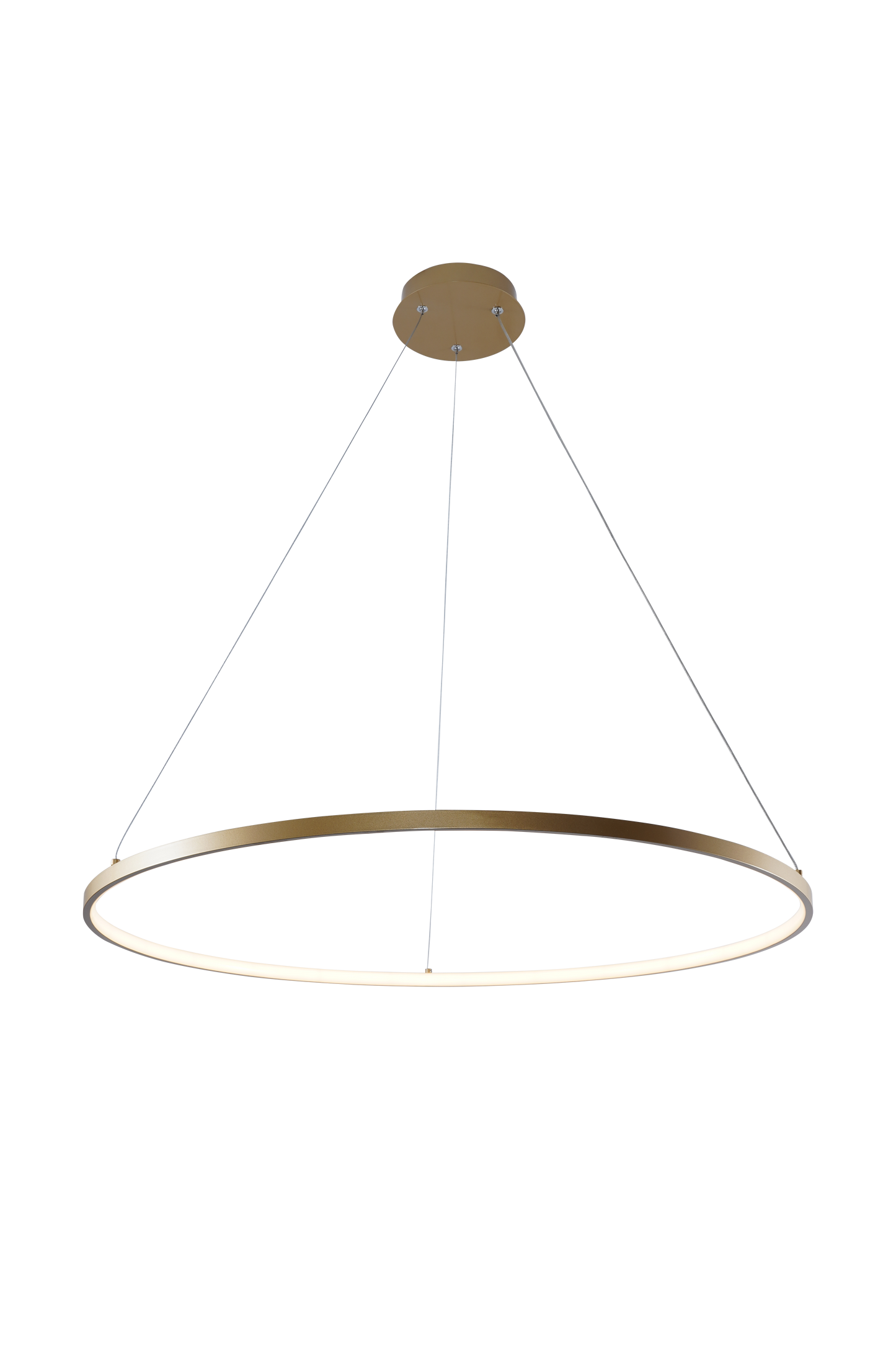 Gold Decorative Light by Zuma Line