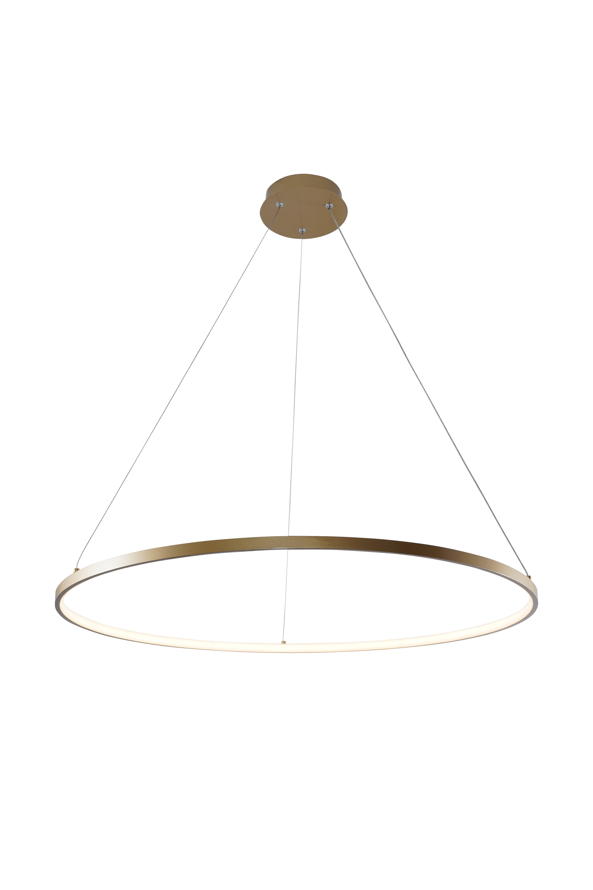 Gold Decorative Light by Zuma Line