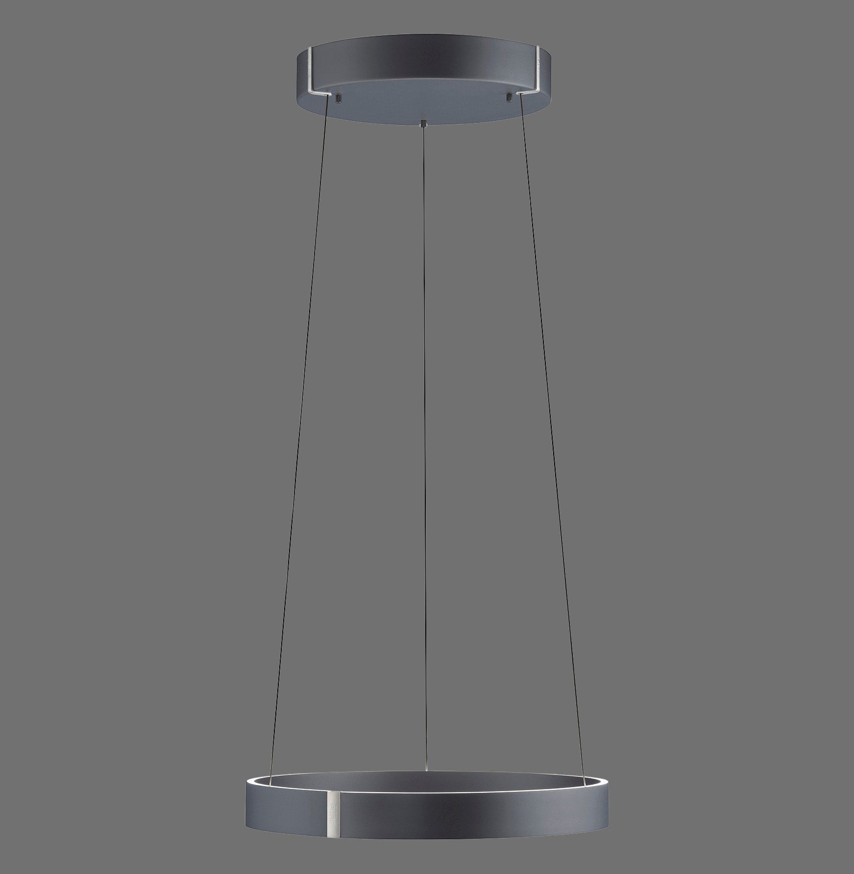 Modern Decorative Light by Zuma Line